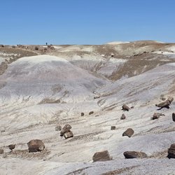 Petrified Forest National Park