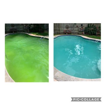 Hummingbird Pool Service - Pool Cleaners Near Me Hummingbird Pool Service - Pool Cleaners Near Me