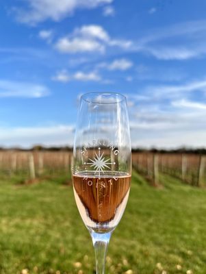 Sparkling Pointe Vineyards & Winery by null