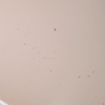 Homelux Clean - Home Cleaning Near Me - Old Forge, Pennsylvania