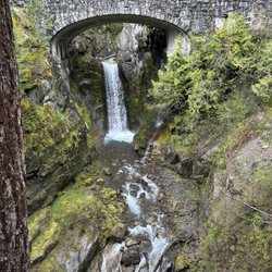 Christine Falls - Christine falls