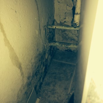 Woodchase Apartments - Moldy wall, only offering to cut out the wall but does that actually fix the problem? No, not if something is constantly leaking behind it. - Apartments Near Me - Chesterfield, Missouri