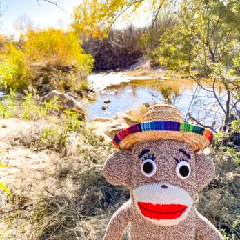 Sabino Canyon - A peaceful moment in Sabino Canyon. - Parks Near Me - Tucson, Arizona Sabino Canyon - A peaceful moment in Sabino Canyon. - Parks Near Me - Tucson, Arizona