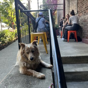 Analog Coffee - Outdoor patio - Cafes Near Me - Seattle, Washington