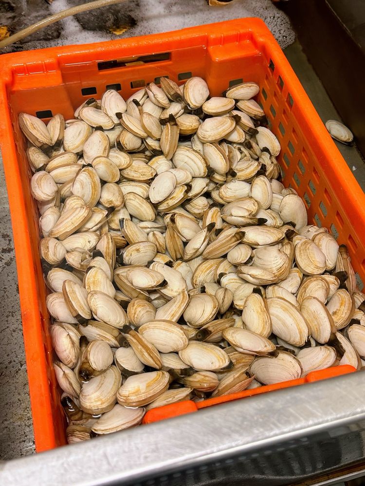 Lobster On The Wharf