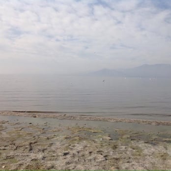 Salton Sea - Birds - Beaches Near Me - Desert Shores, California