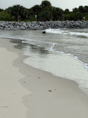 Lighthouse Point Park by null
