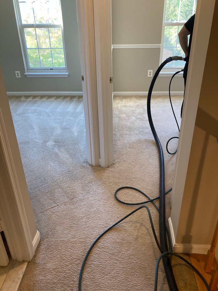 NOVA STEAMERS 313 Photos & 54 Reviews Gainesville, Virginia