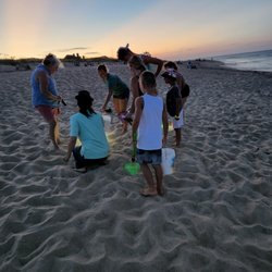 Ghost Crab Quest