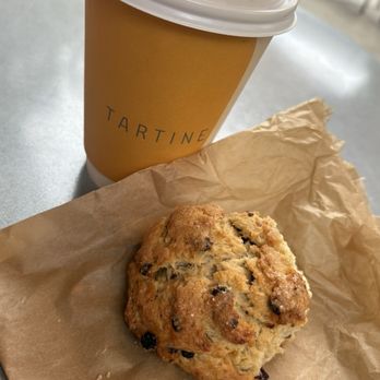 Tartine - My CURRANT & CANDIED ORANGE SCONE - Bakeries Near Me - Santa Monica, California Tartine - My CURRANT & CANDIED ORANGE SCONE - Bakeries Near Me - Santa Monica, California