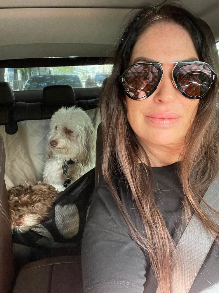 Todd Law - immigration attorney in Miami, FL