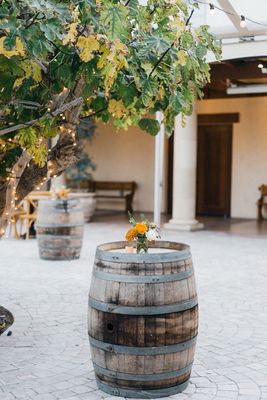Jacuzzi Family Vineyards by null