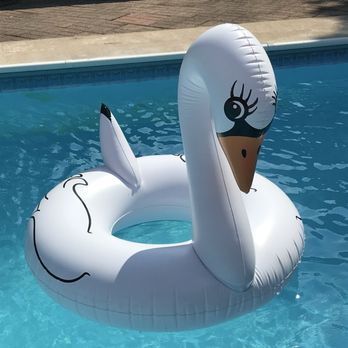 Pool Surgeons - Our pool with our friend - Pool Cleaners Near Me - North Syracuse, New York Pool Surgeons - Our pool with our friend - Pool Cleaners Near Me - North Syracuse, New York