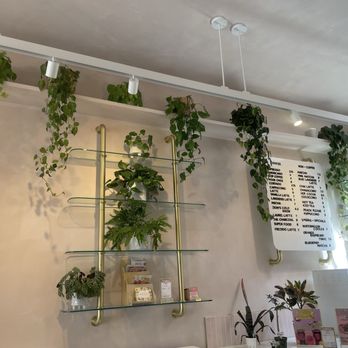 Coffee and Plants - Coffee & Tea Near Me - Studio City, California Coffee and Plants - Coffee & Tea Near Me - Studio City, California
