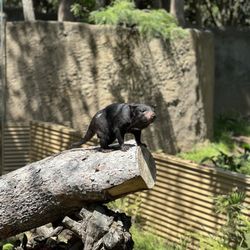 user provided Los Angeles Zoo and Botanical Garden photo