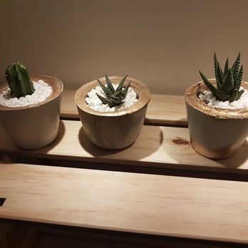 One Of A Kind - Adorable planter pots! - Arts & Crafts Near Me - Toronto, Ontario