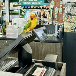 Pet Supermarket