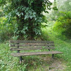 Jackson Park