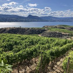 Marichel Vineyard - View
