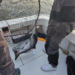 SuFISHient Charters