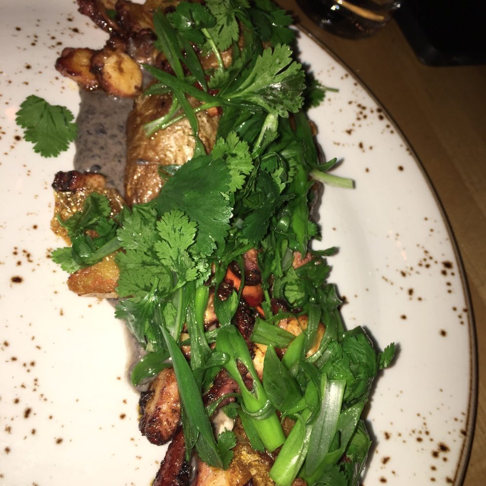 Barcocina - Octopus - Mexican Near Me - Chicago, Illinois