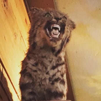 Crossroads Cafe - Cafes Near Me - Joshua Tree, California