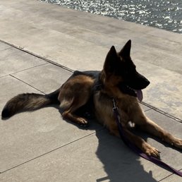 At the park totally relaxed At the park totally relaxed