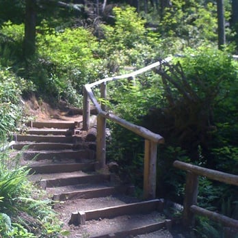Lake Sylvia State Park - Parks Near Me - Montesano, Washington Lake Sylvia State Park - Parks Near Me - Montesano, Washington