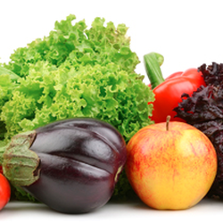 Sandi Cohen Nutrition