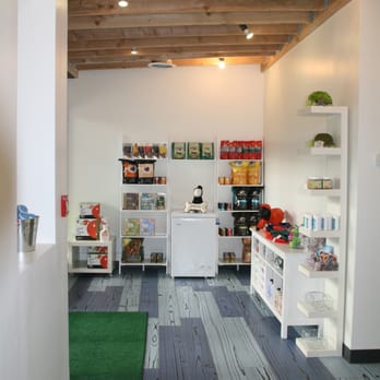 Wag Club - Pet Training Near Me - Brooklyn, New York Wag Club - Pet Training Near Me - Brooklyn, New York