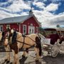 Photo of Daffodil Hill Farm & Carriage