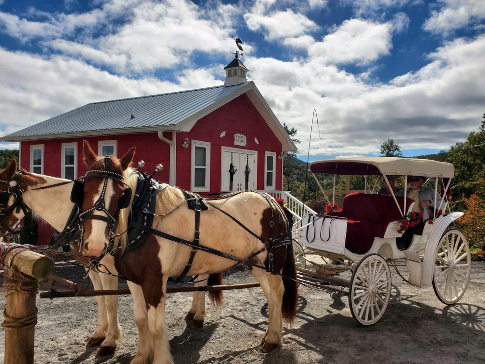 DAFFODIL HILL FARM & CARRIAGE Updated October 2024 13 Photos 53