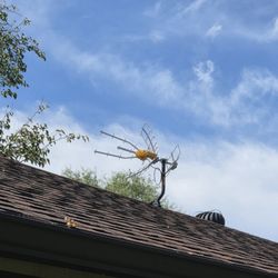 Dallas Antenna - 97 channels, zero monthly bill.
Just wrapped up this TV antenna install in Lake Worth -- a Televes Ellipse Mix mounted above the roofline