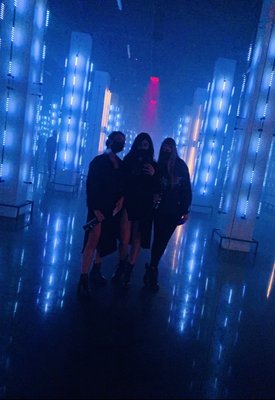 Museum Fiasco by null