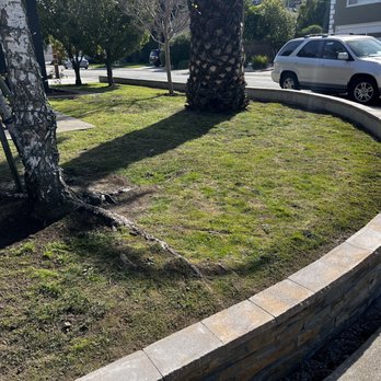 Francisco Zarco Gardens Landscape - Right side of yard - Landscaping Near Me - Belmont, California Francisco Zarco Gardens Landscape - Right side of yard - Landscaping Near Me - Belmont, California