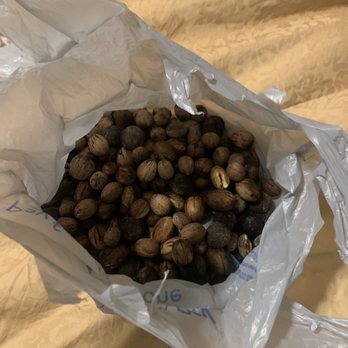 Horseshoe Riverside Lodge - Pecans from the pecan tree - Hotels Near Me - Canyon Lake, Texas Horseshoe Riverside Lodge - Pecans from the pecan tree - Hotels Near Me - Canyon Lake, Texas