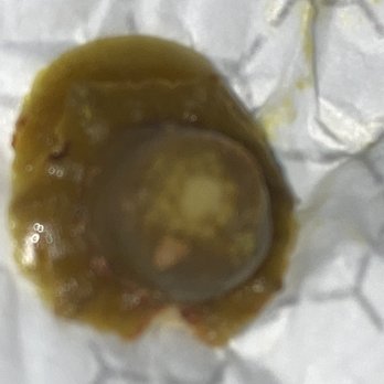 Wendy's - Nasty - Burgers Near Me - Brentwood, California Wendy's - Nasty - Burgers Near Me - Brentwood, California