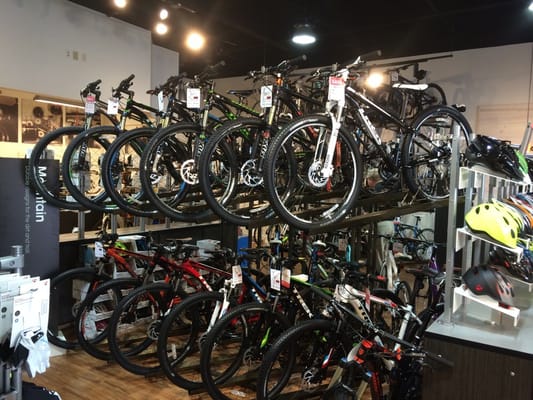 electric assisted bicycles E-Bikes | Monroe, WA