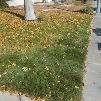 Ruben's Lawn Service - Landscaping Near Me - Las Vegas, Nevada Ruben's Lawn Service - Landscaping Near Me - Las Vegas, Nevada