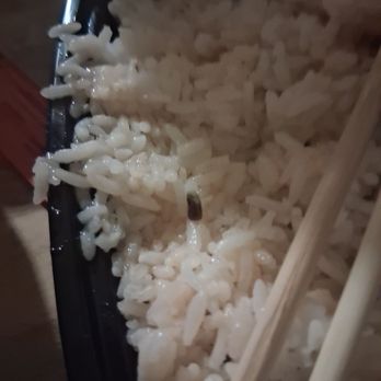 Dragon House Take Out Restaurant - Something black in thing roach? - Chinese Near Me - Staten Island, New York Dragon House Take Out Restaurant - Something black in thing roach? - Chinese Near Me - Staten Island, New York