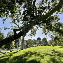 Brace Canyon Park