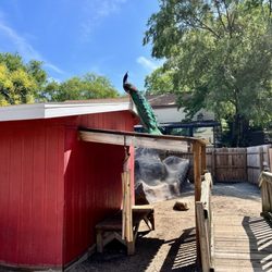 Washington Park Zoo