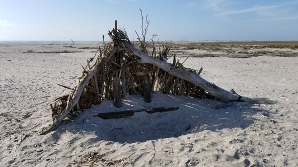 Edisto Beach State Park by null
