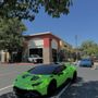 Photo of Royal Tint - Rocklin