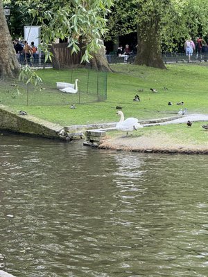 Minnewater Park by null