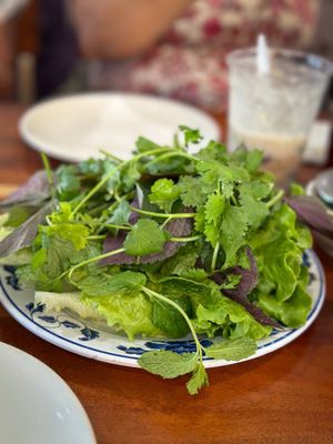 Summer Rolls by null