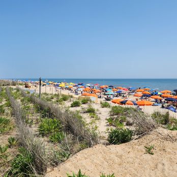 Bethany Beach - Beaches Near Me - Bethany Beach, Delaware Bethany Beach - Beaches Near Me - Bethany Beach, Delaware
