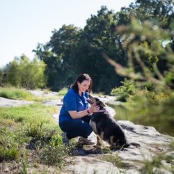 Delighted Paws Pet Care