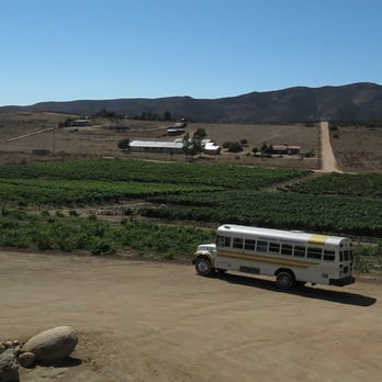 Turista Libre - Our trusty bus waits for us at a winery in the Valle de Guadalupe - Tours Near Me Turista Libre - Our trusty bus waits for us at a winery in the Valle de Guadalupe - Tours Near Me