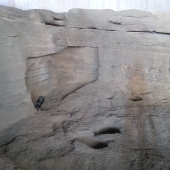 Museo y Parque Arqueológico Cueva Pintada - Museums Near Me - Galdar, GC